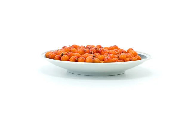 受け皿に海クロウメモドキの果実 — ストック写真