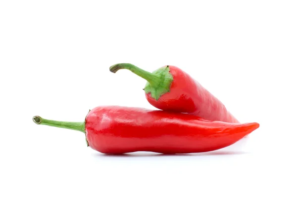 Pair of red chili peppers — Stock Photo, Image