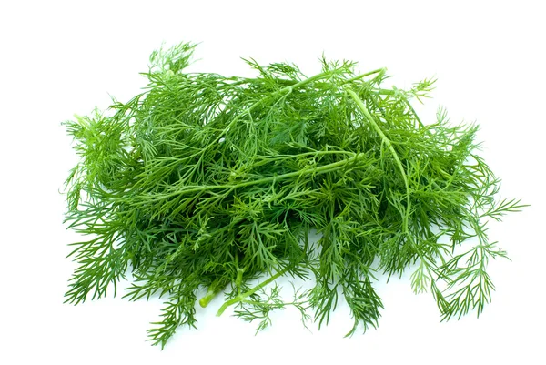 Some fresh green dill — Stock Photo, Image