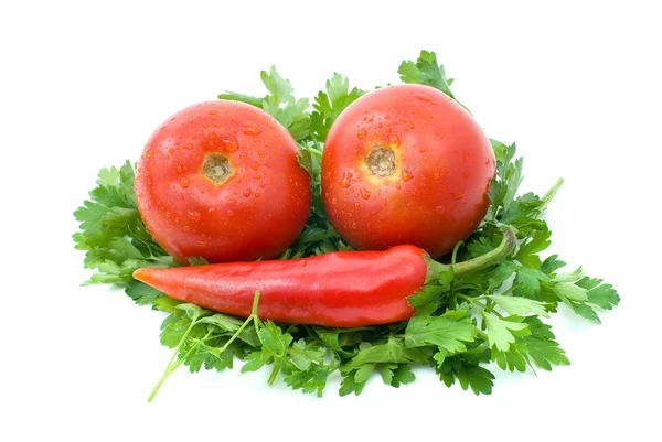 Tomatoes, red chili pepper and parsley — Stock Photo, Image