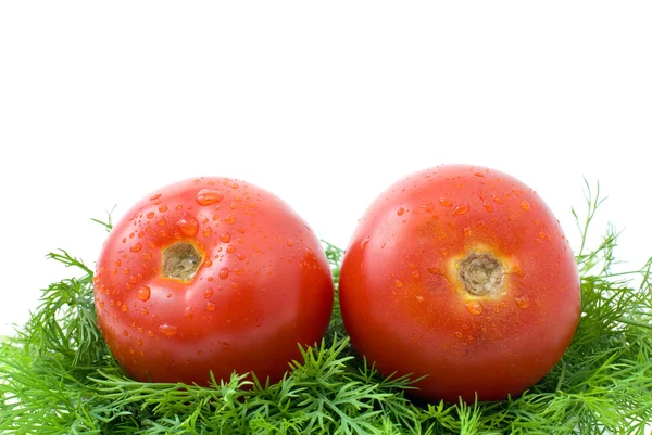 对的熟的西红柿在一些莳萝 — 图库照片