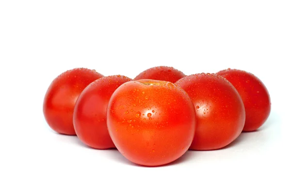 Six juicy tomatoes with drops of water — Stock Photo, Image