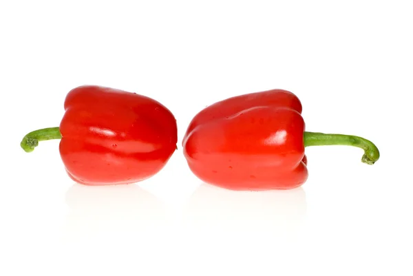 두 개의 빨간색 달콤한 고추 — 스톡 사진