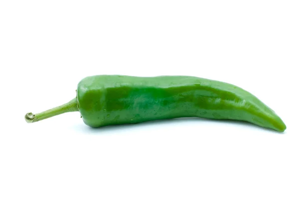 Сингл зелёный перец чили — стоковое фото