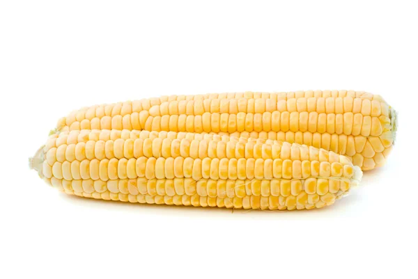 Two ripe yellow corn ears — Zdjęcie stockowe
