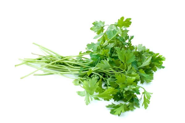 Bunch of parsley — Stock Photo, Image