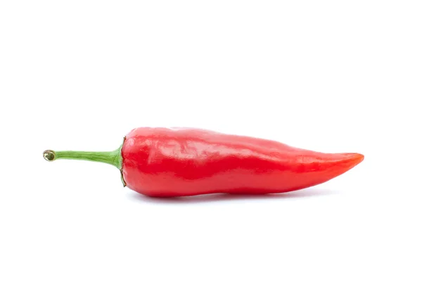 Enda röd chilipeppar — Stockfoto