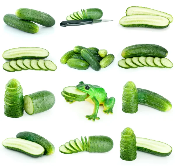 Set of cucumbers (whole and slices) — Stock Photo, Image