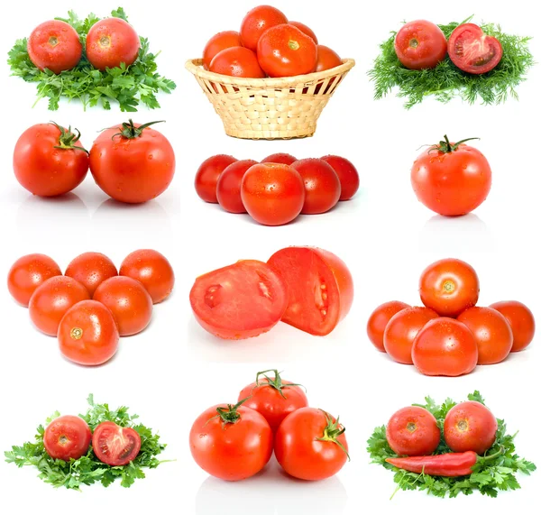 Conjunto de tomates vermelhos maduros — Fotografia de Stock