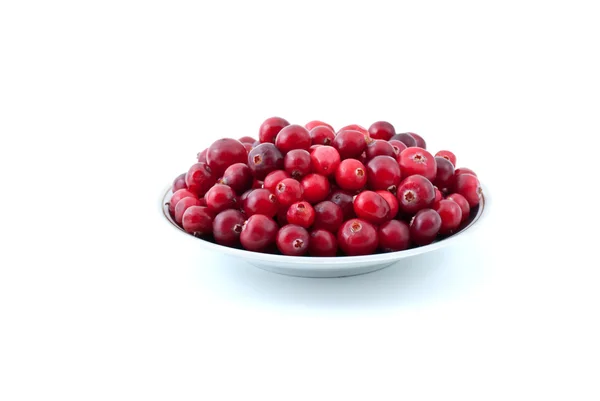 Saucer diisi dengan cranberry matang — Stok Foto