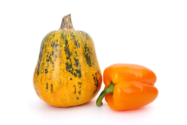 Pumpa och orange paprika — Stockfoto
