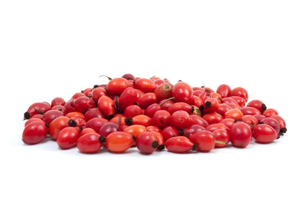 Ripe red hips — Stock Photo, Image
