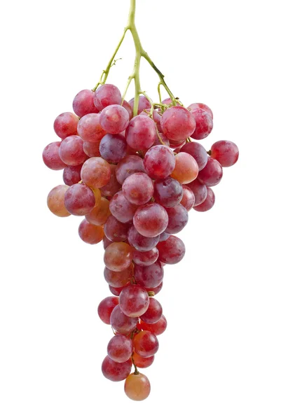 Bunch of pink grapes — Stock Photo, Image