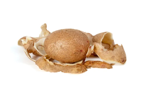 Whole potato and some peel — Stock Photo, Image