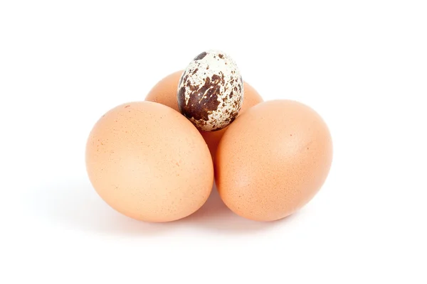 Кілька курячих яєць і одне перепелине яйце зверху — стокове фото