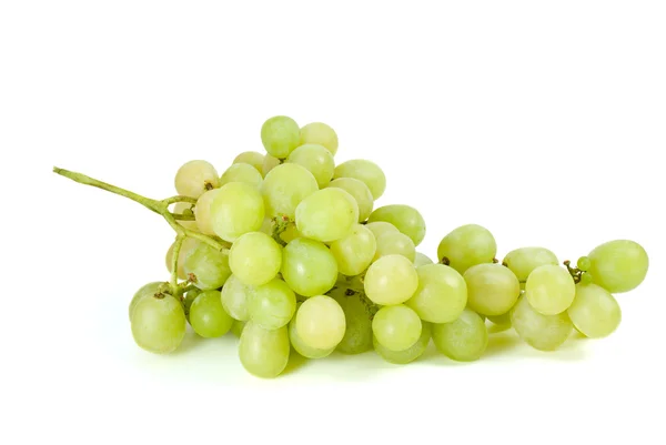 Green grapes bunch (muscat breed) — Stock Photo, Image
