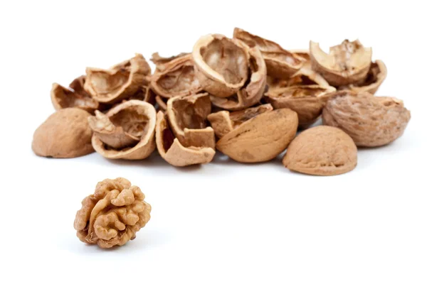 Some nutshells and walnut kernel — Stock Photo, Image