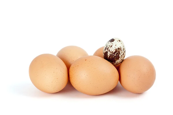 Some chicken eggs and one quail egg — Stock Photo, Image