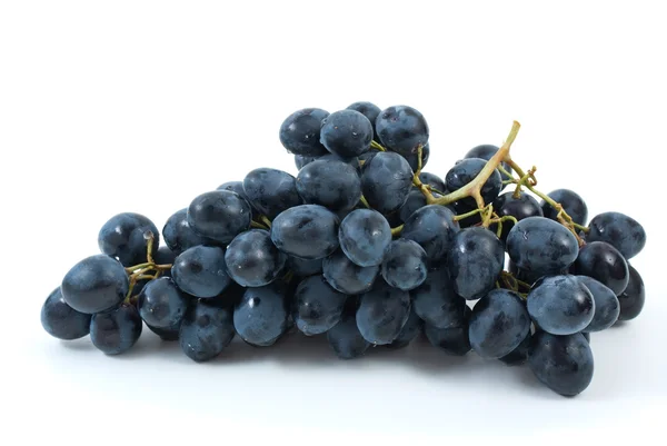 Bouquet de raisins bleus — Photo