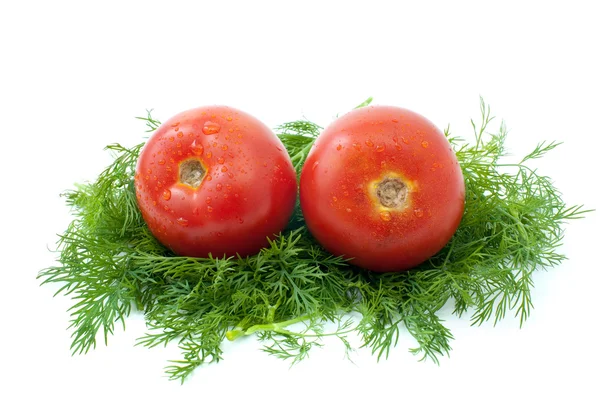 Pair of tomatoes over some dill — Stock Photo, Image