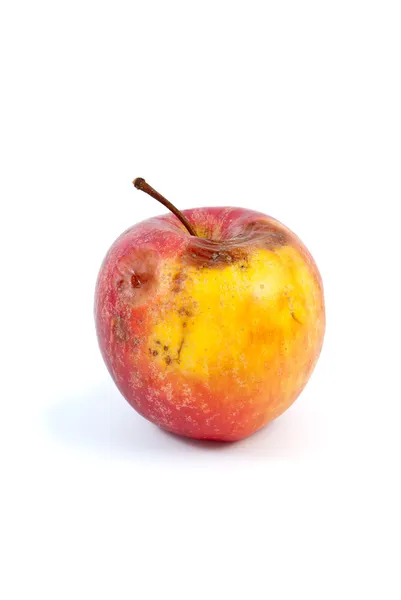Злегка гнилий apple — стокове фото