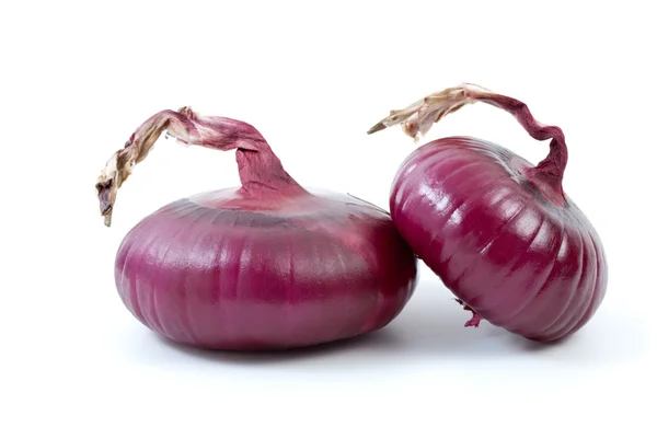 Paar van paarse uien — Stockfoto