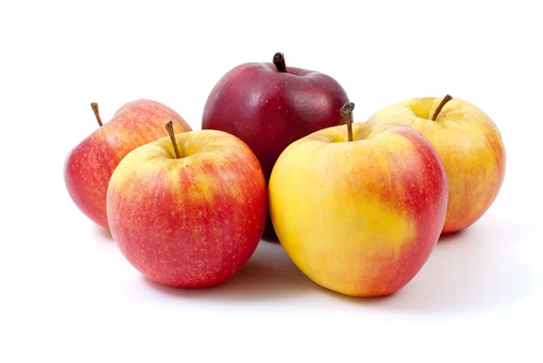 Fem äpplen — Stockfoto