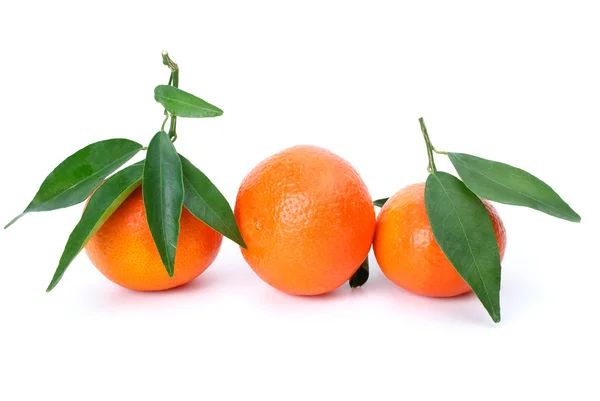 Three mandarines with leaves — Stock Photo, Image