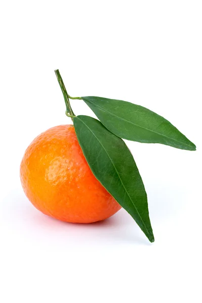 Mandarina única con hojas — Foto de Stock
