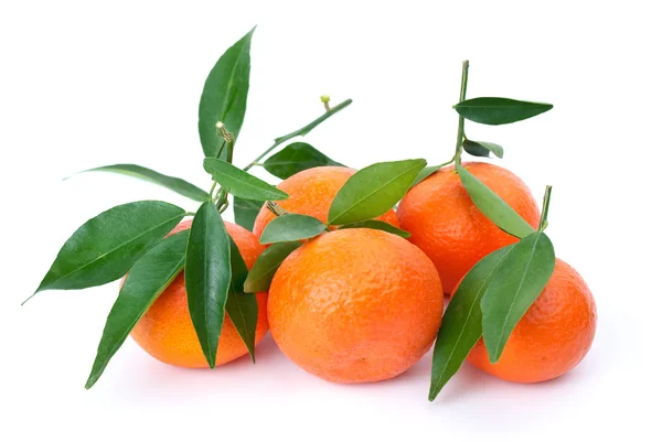 用树叶一些新鲜 mandarines — 图库照片
