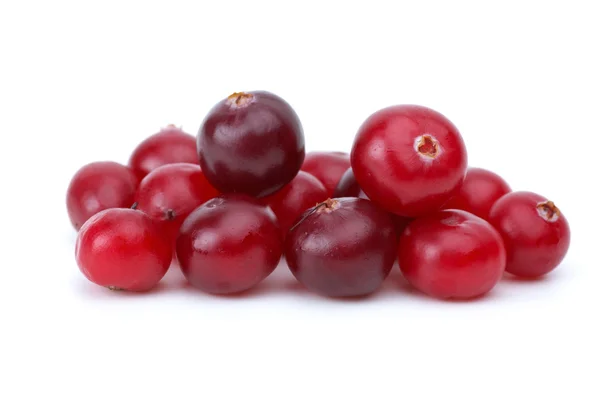 Close-up shot of some cranberries — Stock Photo, Image