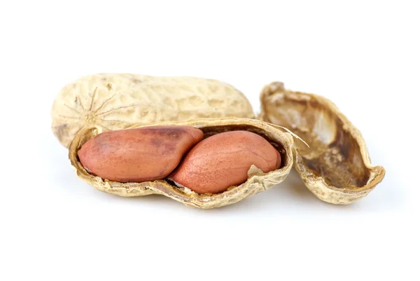 Close-up shot of peanut — Stock Photo, Image