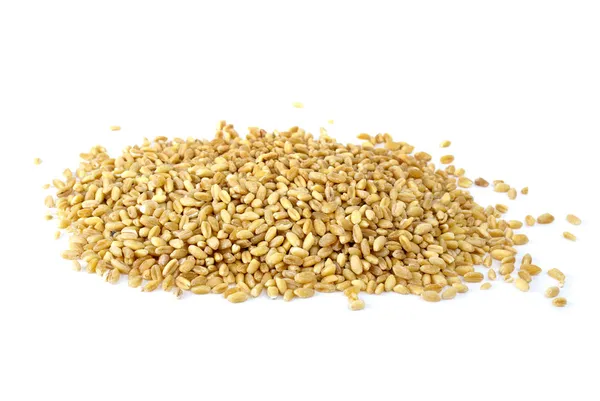 Some barley grains — Stock Photo, Image