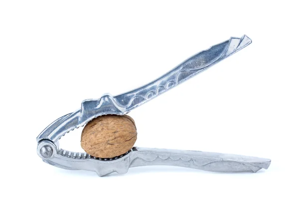 Stříbrný Louskáček a ořech — Stock fotografie