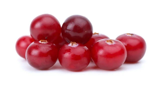 Close-up shot of few cranberries — Stock Photo, Image