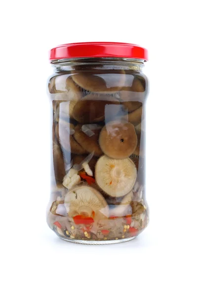 玻璃罐腌制的牛奶蘑菇 — 图库照片