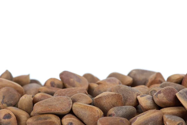 Some cedar nuts — Stock Photo, Image