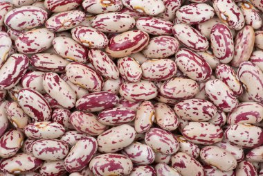 Spotty white-red haricot beans clipart