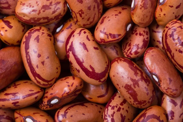 Spotty red haricot beans macro — Stock Photo, Image