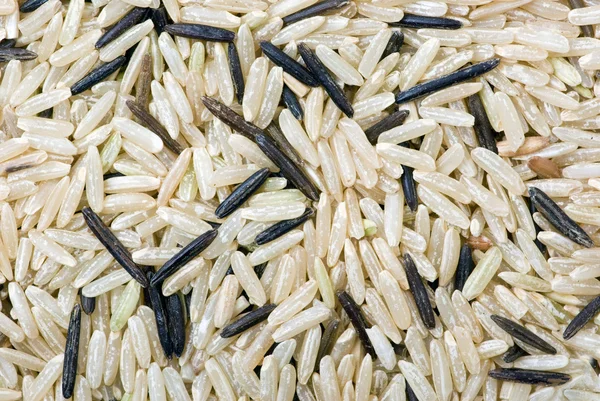 Білий і чорний некультивований рис — стокове фото