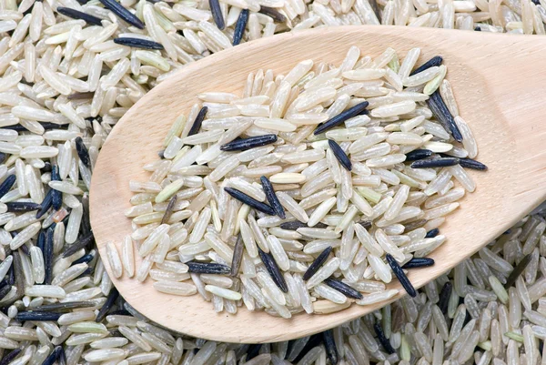 Рис и деревянная ложка — стоковое фото