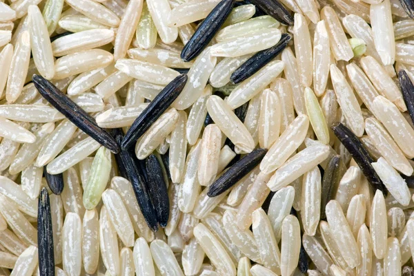 白色和黑色的未开垦的水稻 — 图库照片