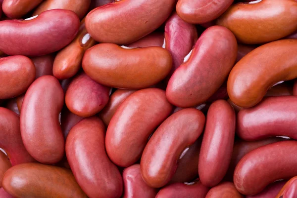Červená haricot fazole makro — Stock fotografie