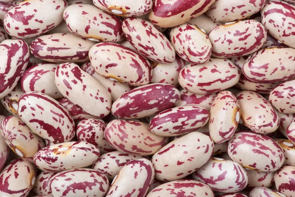Spotty white-red haricot beans (macro) — Stock Photo, Image
