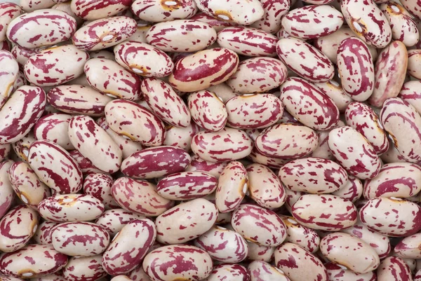 Chicchi di fagiolo bianco-rossi maculati — Foto Stock