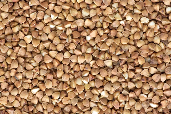 Background of dried buckwheat grains — Stock Photo, Image