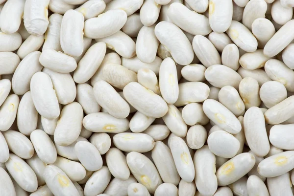 Long white haricot beans — Stock Photo, Image