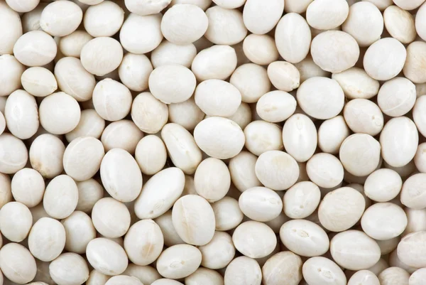 Round white haricot beans — Stock Photo, Image