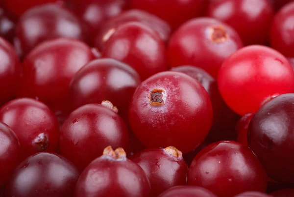 Some cranberries close-up. — Stock Photo, Image