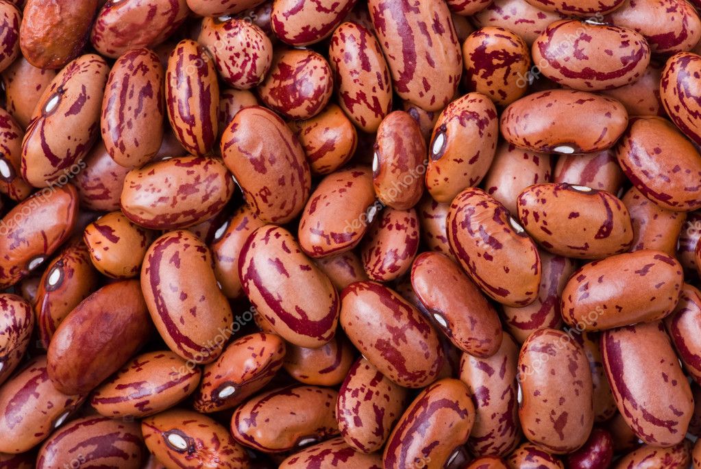 Spotty red haricot beans — Stock Photo © digitalr 1861696